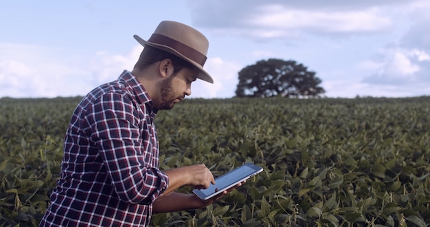 Modern farm in Venezuela showing agricultural business investment opportunities that capitalize on the 12% tax incentive.